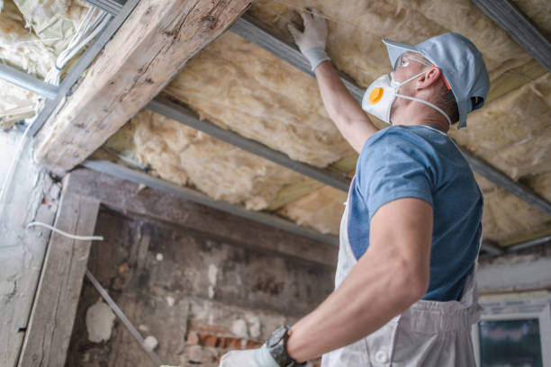 Best Insulation Materials and Products in Denton, TX