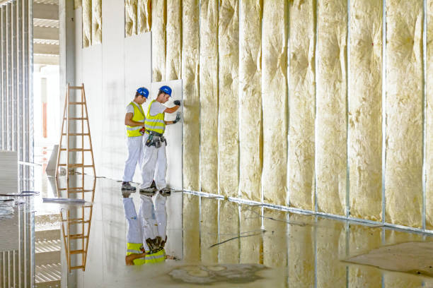 Best Insulation Maintenance and Repair in Denton, TX